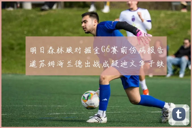 明日森林狼对掘金G6赛前伤病报告道苏姆海兰德出战成疑迪文华子缺阵