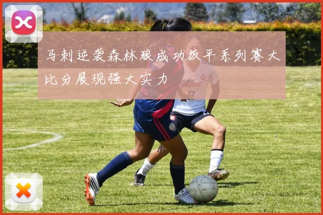 马刺逆袭森林狼成功扳平系列赛大比分展现强大实力